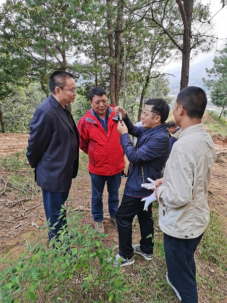 野外快速测试分析 野外快速测试分析